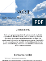 Proiect nori