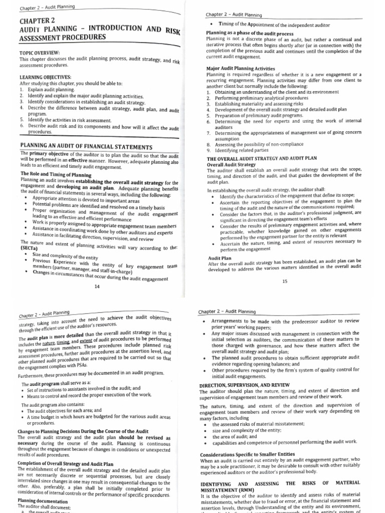 audit-planning-asuncion-et-al-2021-pdf-audit-financial-audit
