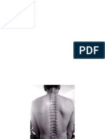 Applied Anatomy of The Vertebral Column