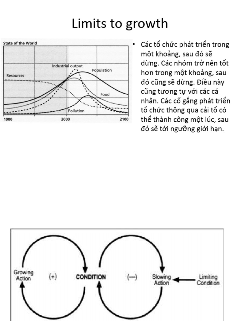 Limits To Growth | PDF