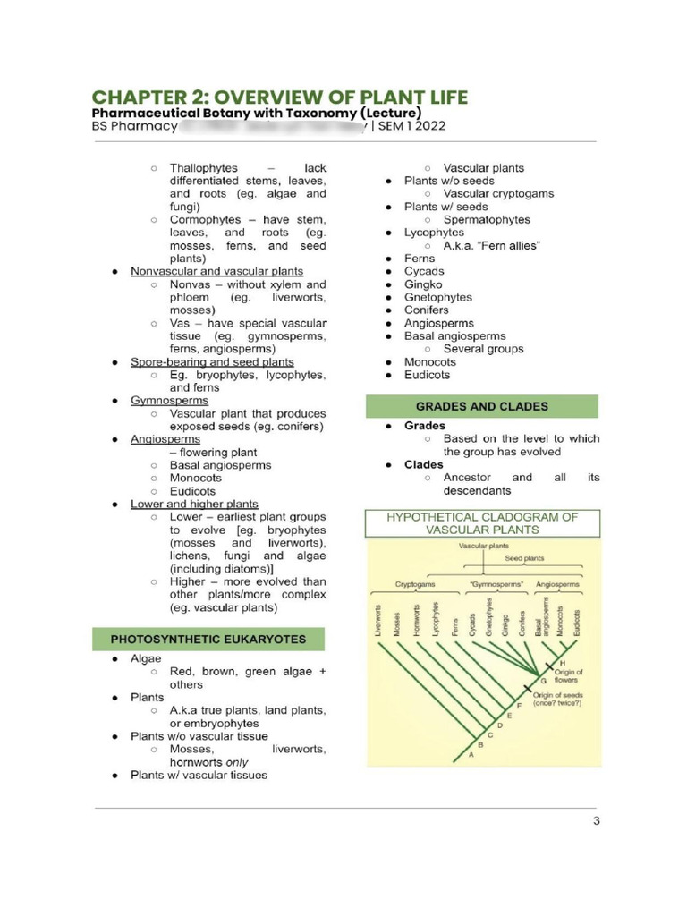 Lecture Notes - Overview of Plant Life | PDF