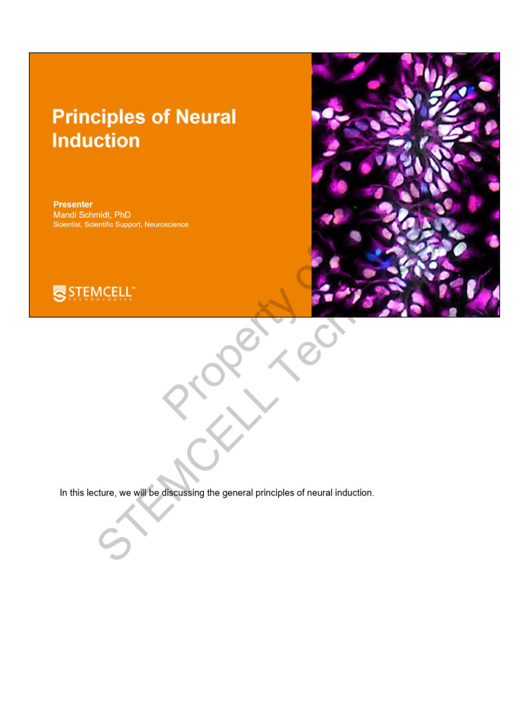 Lecture 1 - Principles of Neural Induction | PDF | Nervous System ...