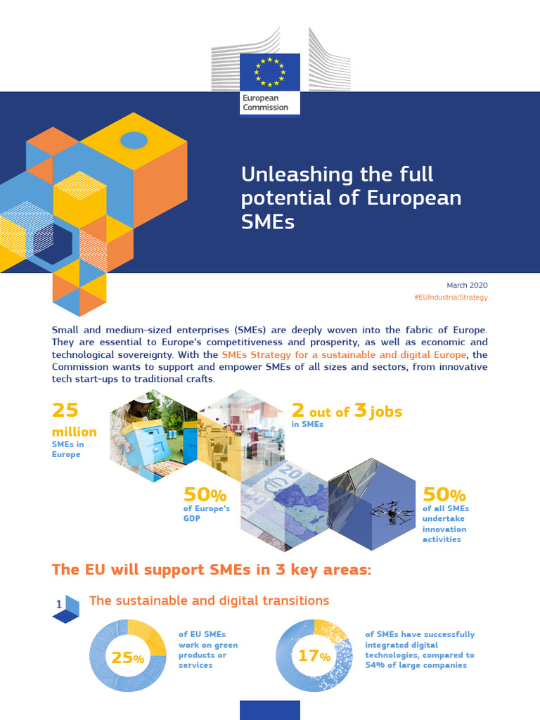 EU SME Strategy for Growth and Innovation | PDF | Small And Medium ...