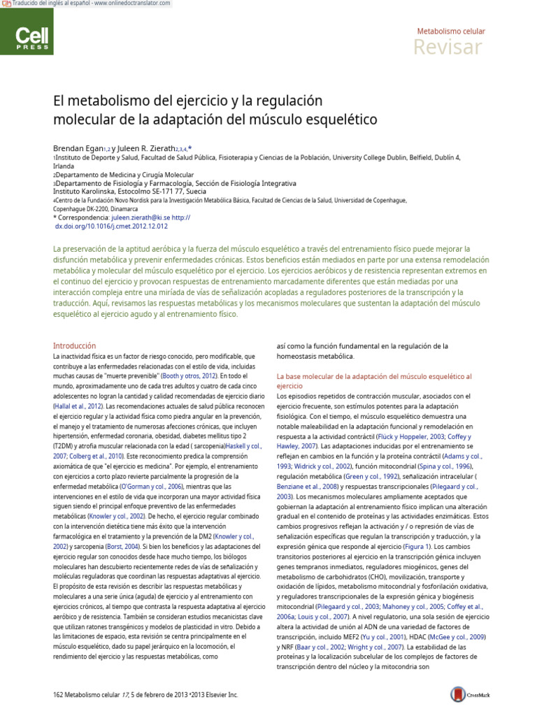 Exercise Metabolism and The Molecular Regulation of Skeletal Muscle ...