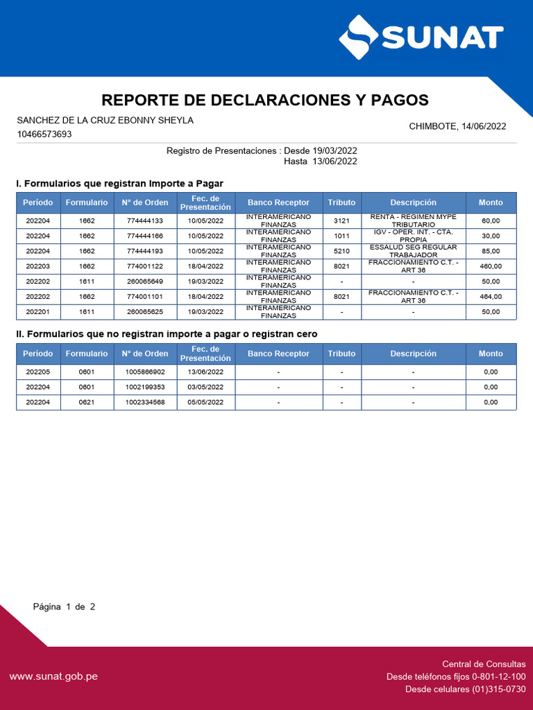 Reporte de Declaraciones y Pagos SUNAT | PDF | Telecomunicaciones ...