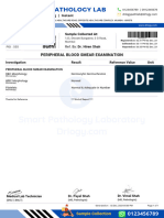 704253190 PERIPHERAL BLOOD SMEAR EXAMINATION Test Report Format Example Sample Template Drlogy Lab Report