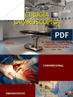 1b Cirugia Laparoscopica 2011