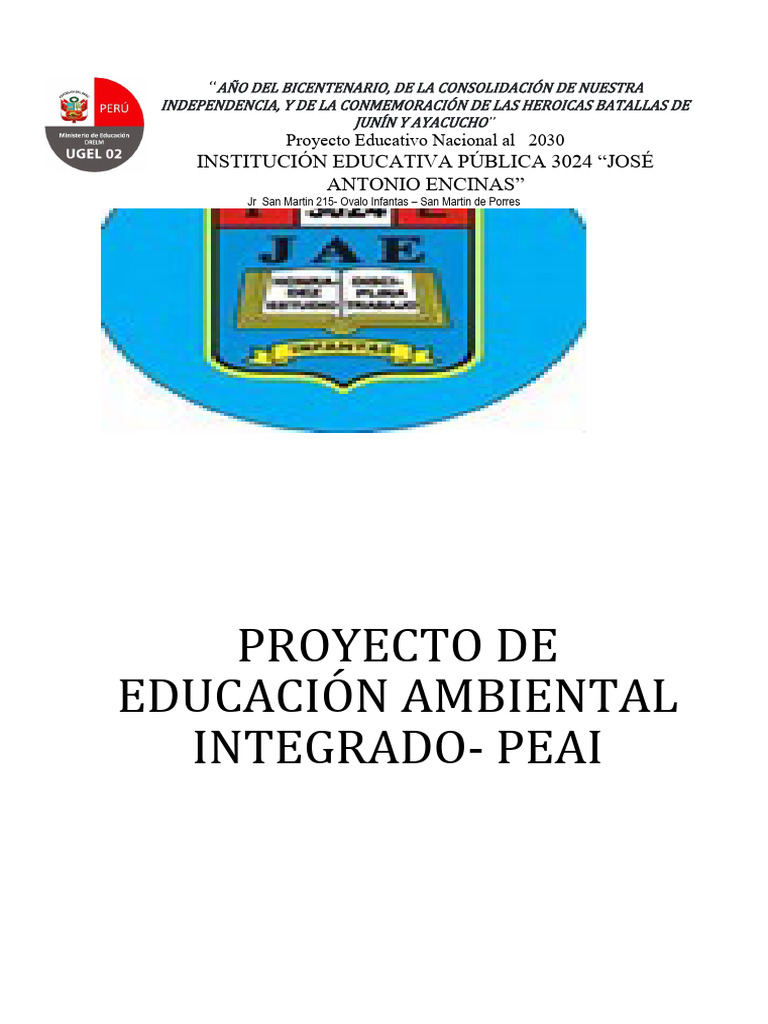 Ficha Resumen PEAI 2024 I.E. 3024 | PDF | Residuos | Evaluación