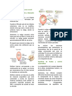 Fisiología de Sistemas Segundo Resumen