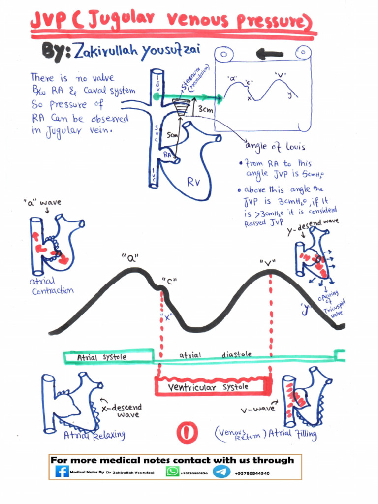 8 JVP | PDF