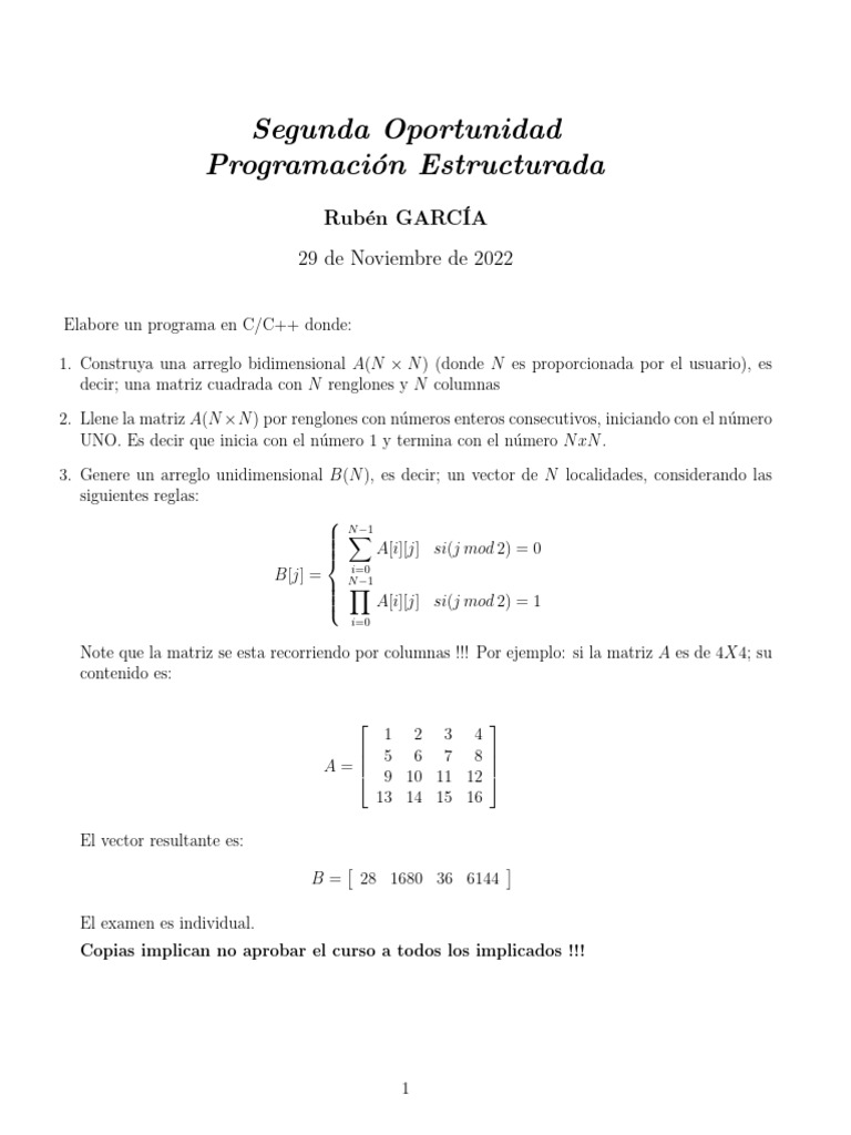 Matrices y Vectores en C/C++ | PDF