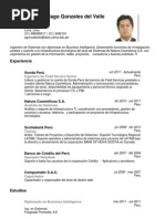 CV Andy Santiago Gonzales Del Valle Bejarano