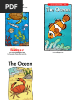 Raz Kids Level E Book Collection | PDF