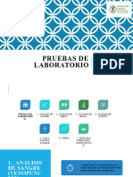 Pruebas DX Laboratorio (2022) 1)