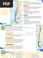 Relieve y Biodiversidad del Norte Grande | PDF | Andes | Chile