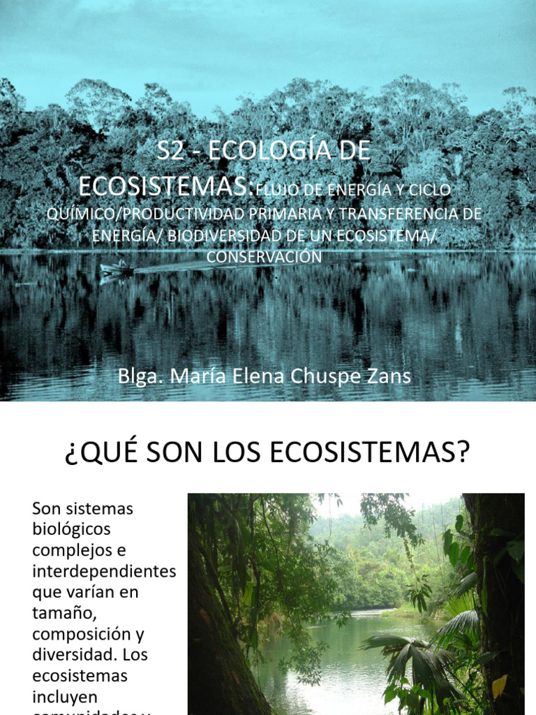 Ecología y Diversidad de Ecosistemas | PDF | Ecosistema | lago