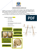 SISTEMA ARTICULAR - LMAC