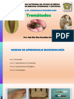 Pre 2 - Trematodos