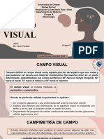 Campo Visual Seminario Definitivoo