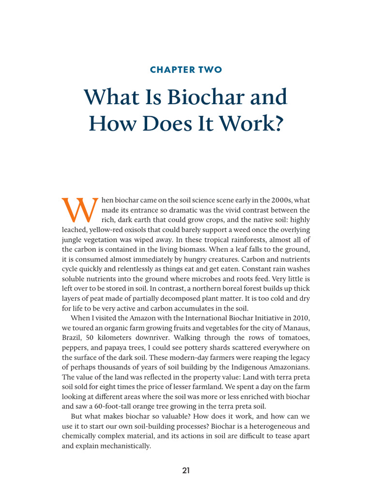 The Biochar Handbook Chapter 2 What Is Biochar How Does It Work