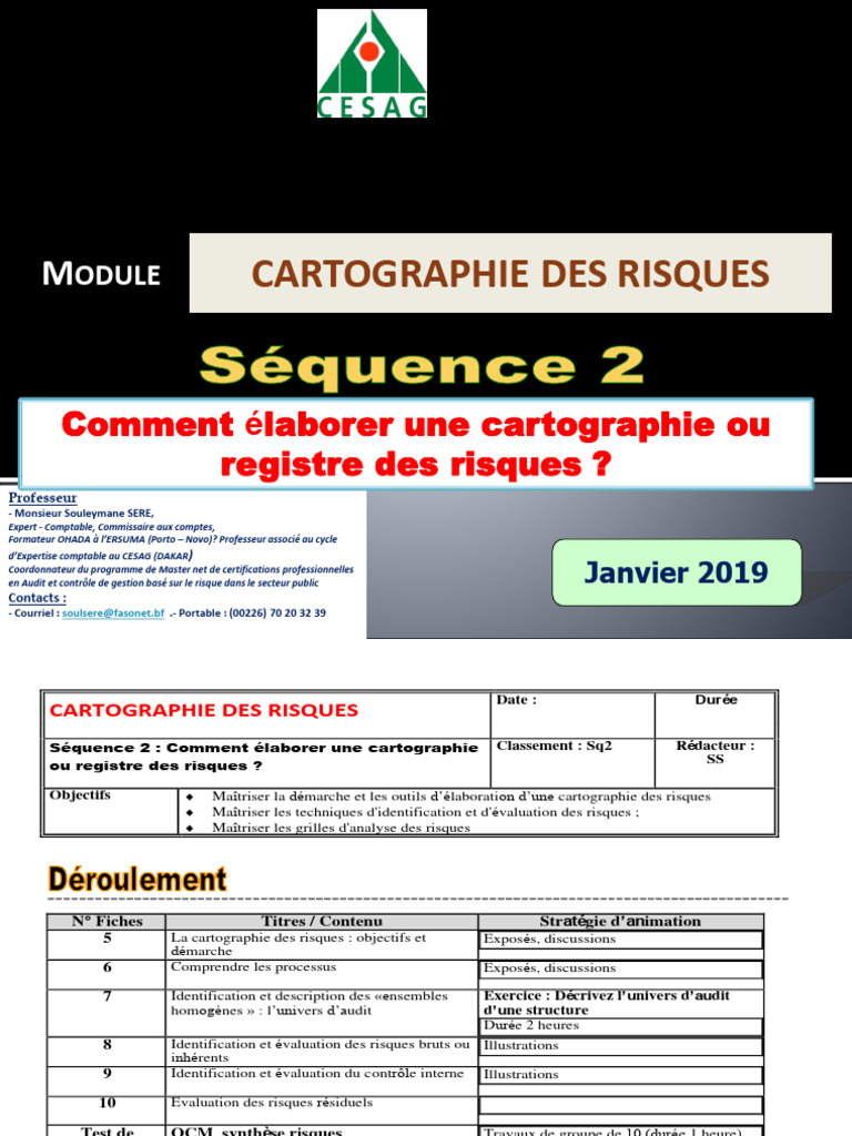 Élaboration de la cartographie des risques | PDF | Risque | Audit