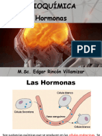 Hormonas SST A-2022 EXPONER EN LABORATORIO
