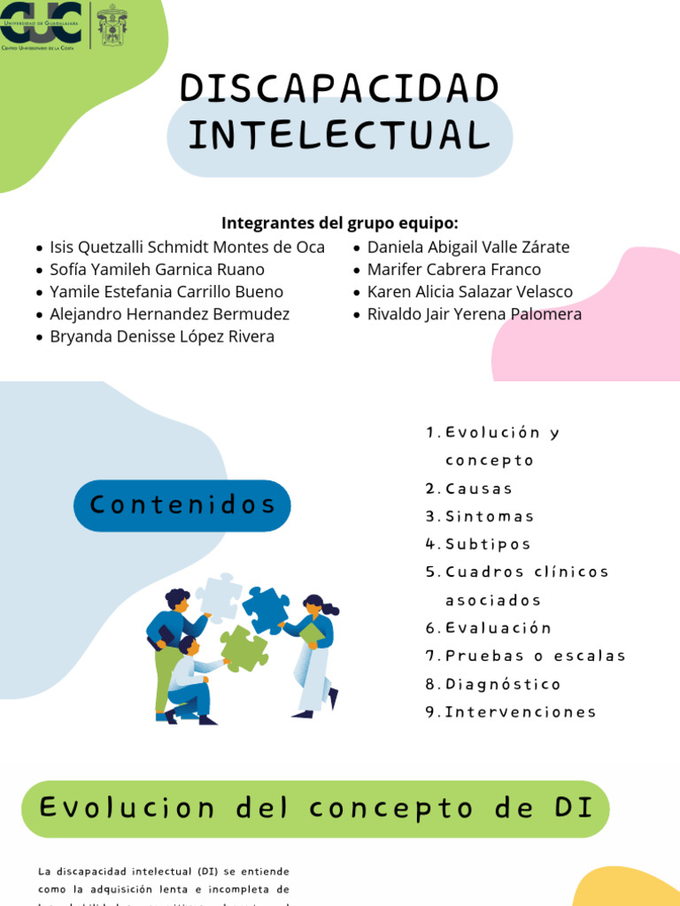 Discapacidad Intelectual: Causas y Subtipos | PDF | Discapacidad ...