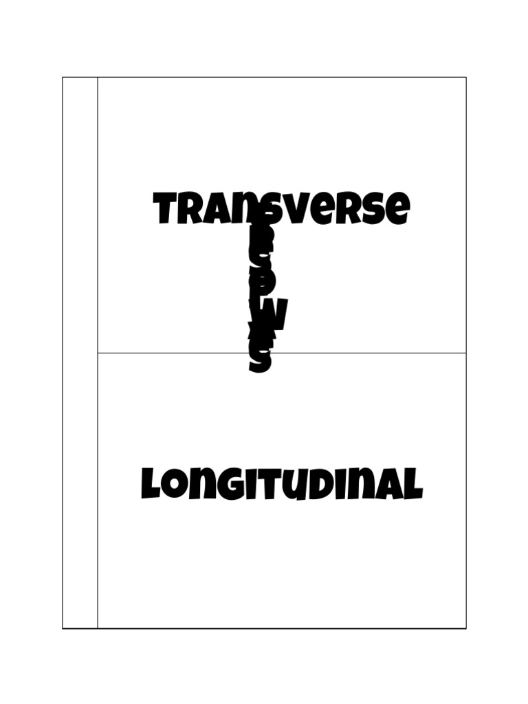Types of Waves Flipbook | PDF