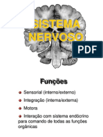 Sistema_nervoso_somÃ¡tico_e_autÃ´nomo