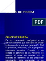 Cruces de Prueba