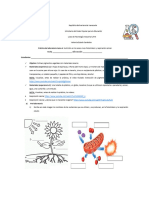 Práctica 4 Fotosintesis y Respiración Celular