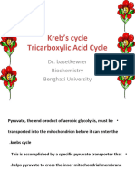 Kreb cycle (2) - ١٢٤٠٢٠