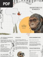 Ardipithecus ramidus: Hallazgos y Características | PDF | Ciencias sociales
