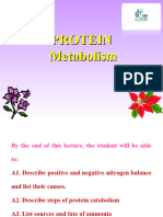 Lecture 4 Protein Metabolism 1