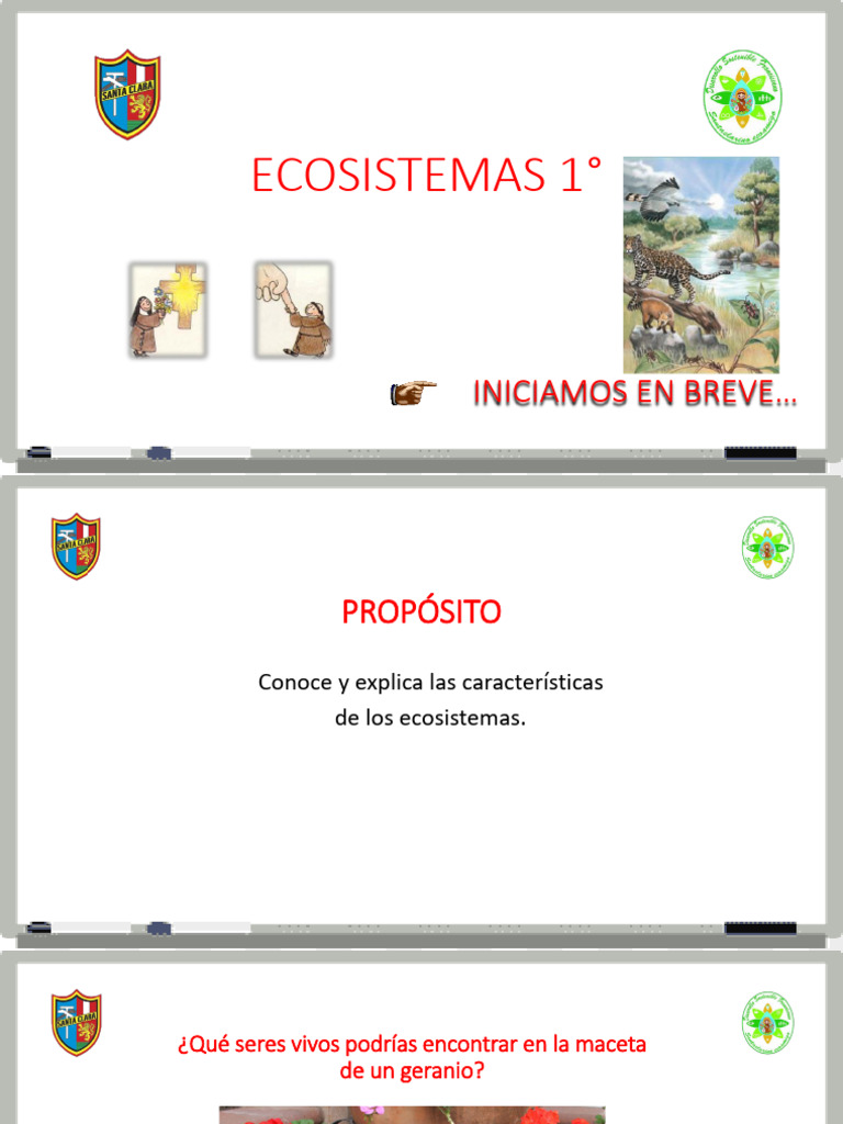 Características y Tipos de Ecosistemas | PDF | Ecosistema | Ecología