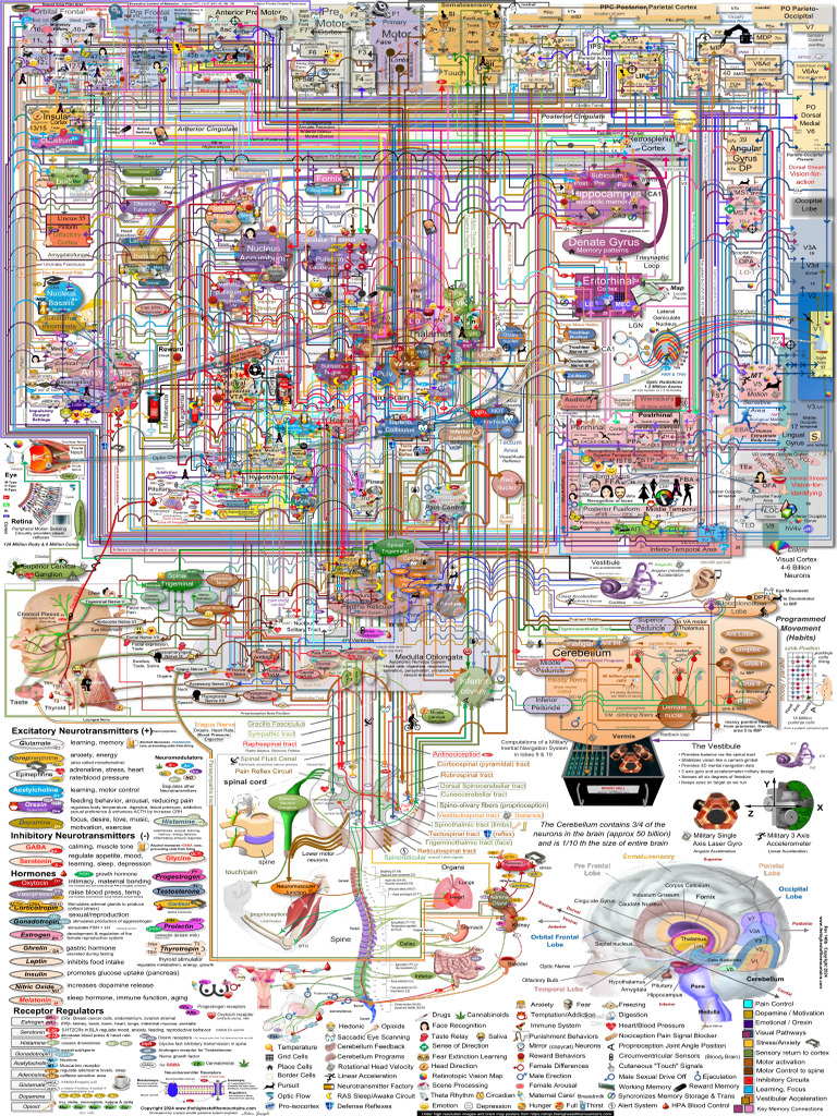 Thehighestofthemountains Brain Map Rev117 Image | PDF