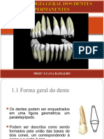 2 - Morfologia Geral Dos Dentes Permanentes