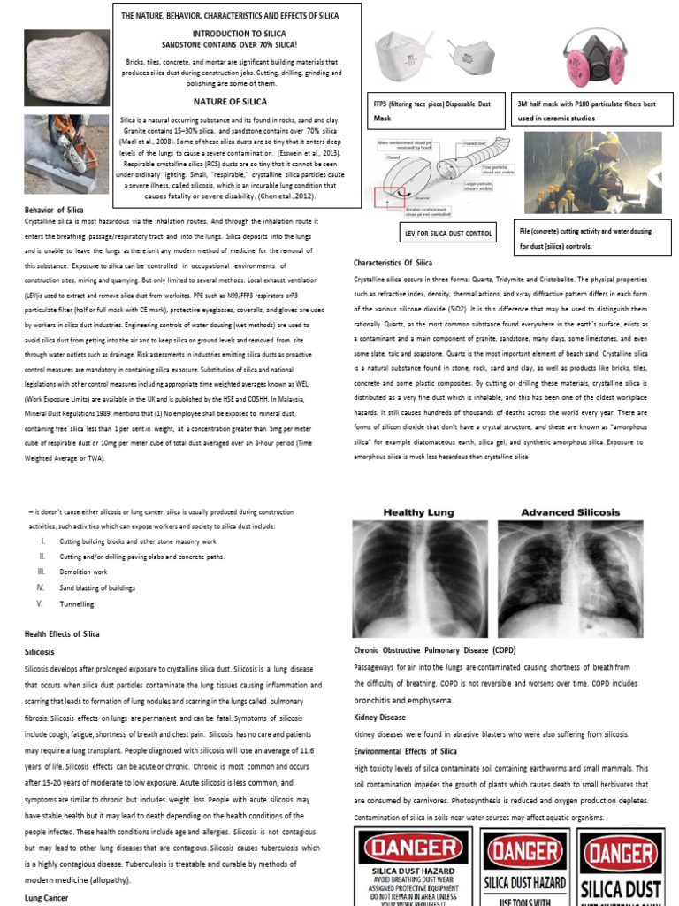 Toxicology Summative Portfolio | PDF | Silicon Dioxide | Chronic ...