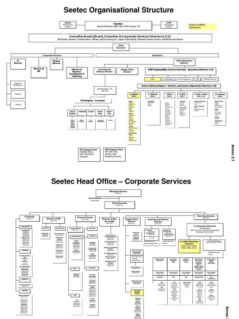 Seetec Organizational Structure Overview | PDF | Strategic Management ...