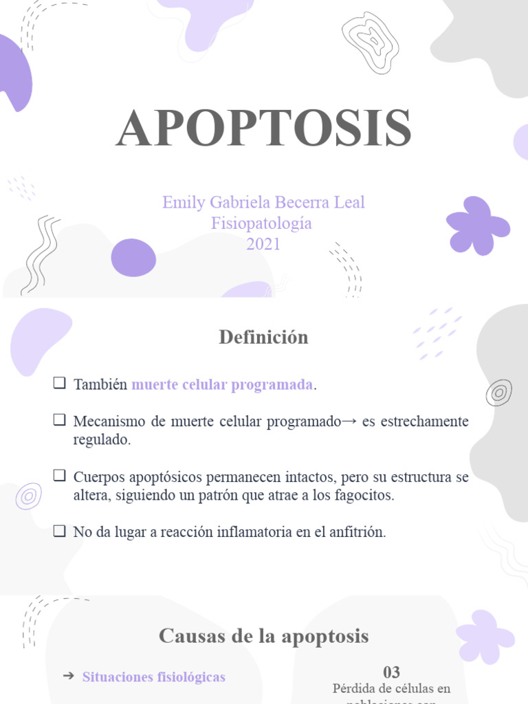 Apoptosis: Muerte Celular Programada | PDF | Apoptosis | Procesos ...