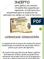 Licencias de Conducción