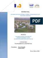 Estudio Socioeconomico Perú