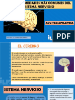 Sistema Nervioso IB