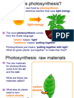 What Is Photosynthesis