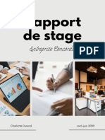 Document Rapport de Stage Minimaliste Élégant Noir Et Marron