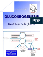 gluconeogenesis-pagina