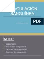 Dokumen - Tips Coagulacion Sanguinea 55888cef8d411