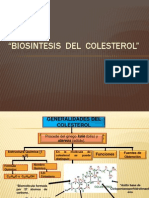Expo Biosintesis Del Colesterol Original