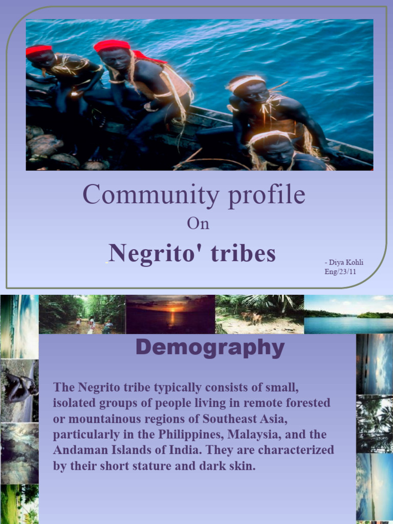 Negrito Tribe: Culture and Challenges | PDF | Community | Hunter Gatherer
