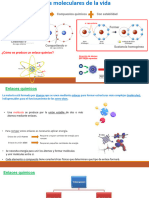 Bases moleculares de la vida - Enlaces químicos